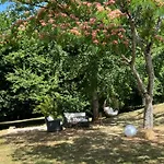 Belle Maison Ancienne En Perigord Avec Piscine Rouffignac Saint-Cernin