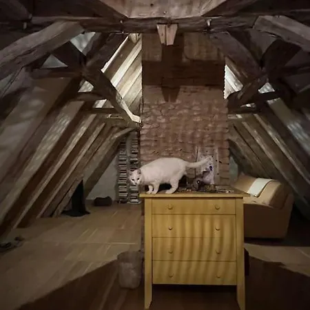 Belle Maison Ancienne En Perigord Avec Piscine Holiday home *